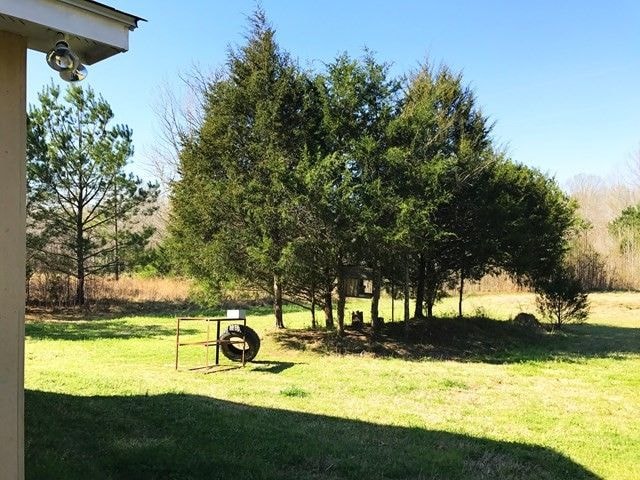 Photo - 510 Henderson Rd