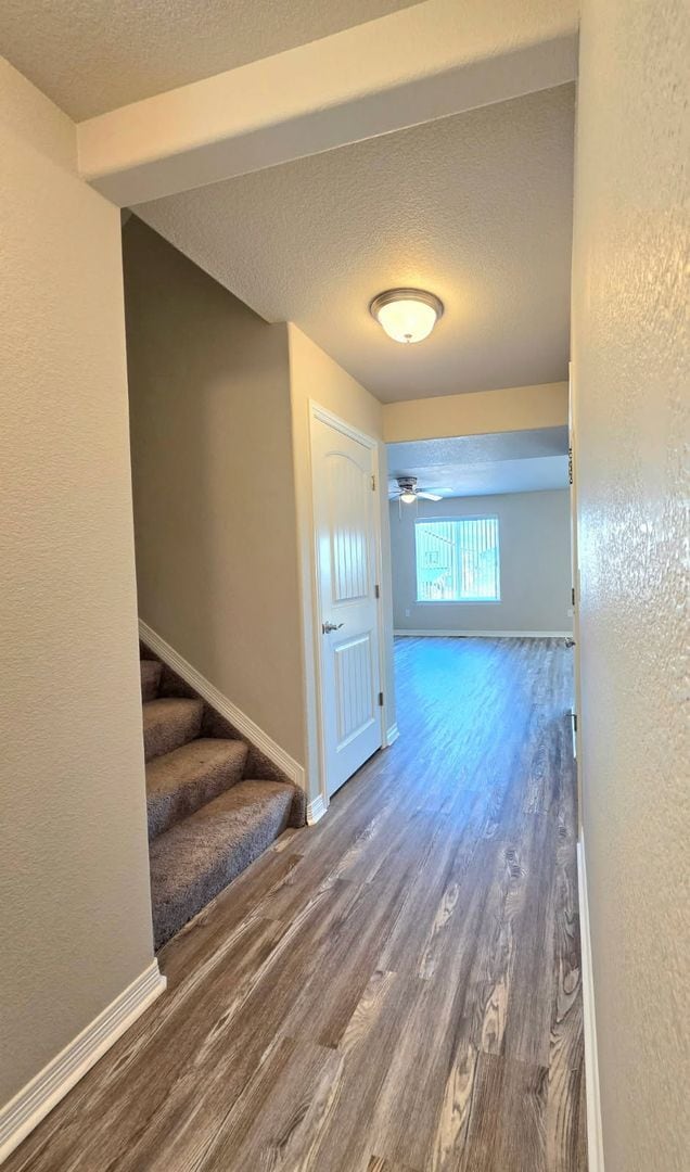 Photo - Beautiful 4 Bedroom Home in Peyton