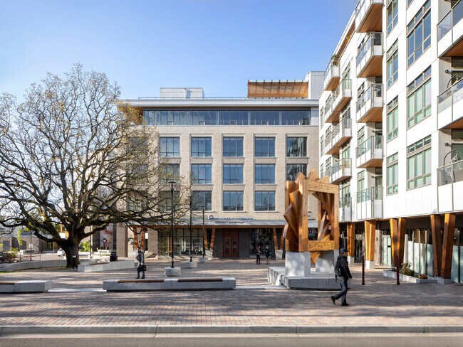 Courtyard & Public Plaza - The Spruce