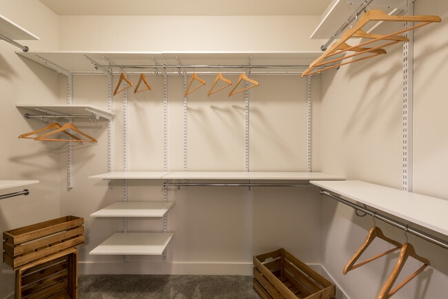 Spacious, walk-in closet