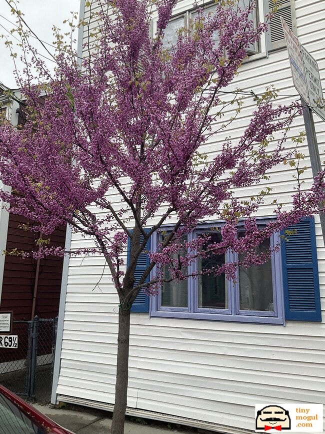 Photo - 67 Gore St Unit 2R