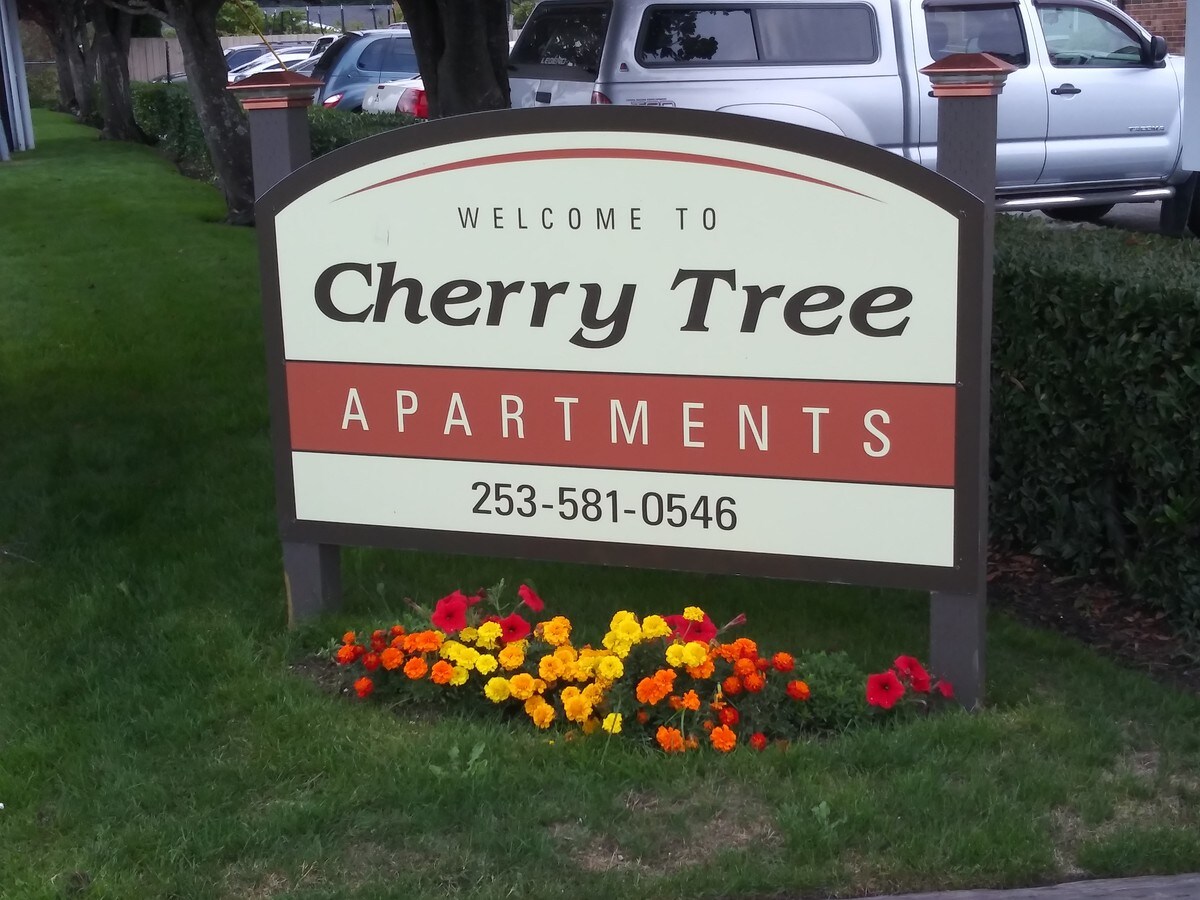 Cherry Tree Apartments For Rent In Lakewood Wa Forrent Com