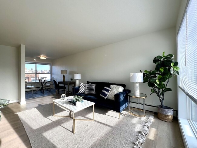 Photo - The Larkspur