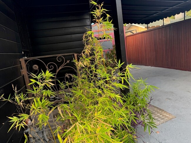 Photo - 1200 Tamarind Ave