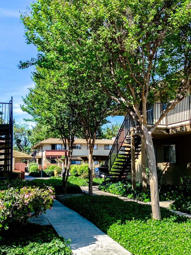 Dry Creek Village Apartments Modesto, CA