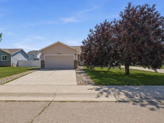 Building Photo - AVAILABLE NOW –   3 BD, 2 BA, 2 Car Garage - Pet Friendly | Wellington, CO