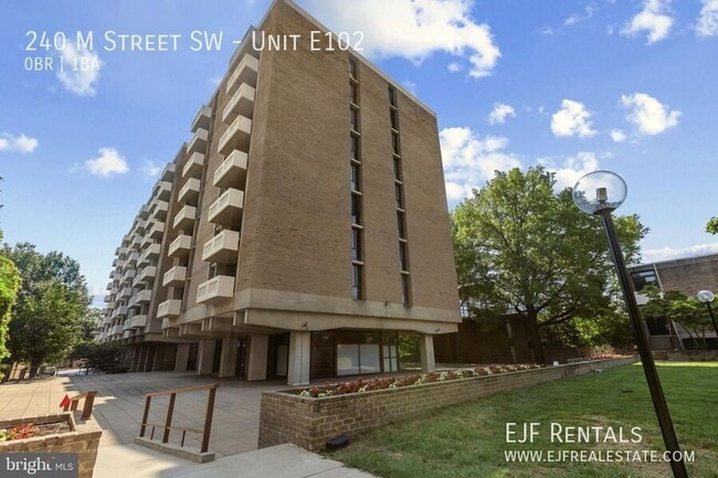 Building Photo - 240 M St SW Unit E102