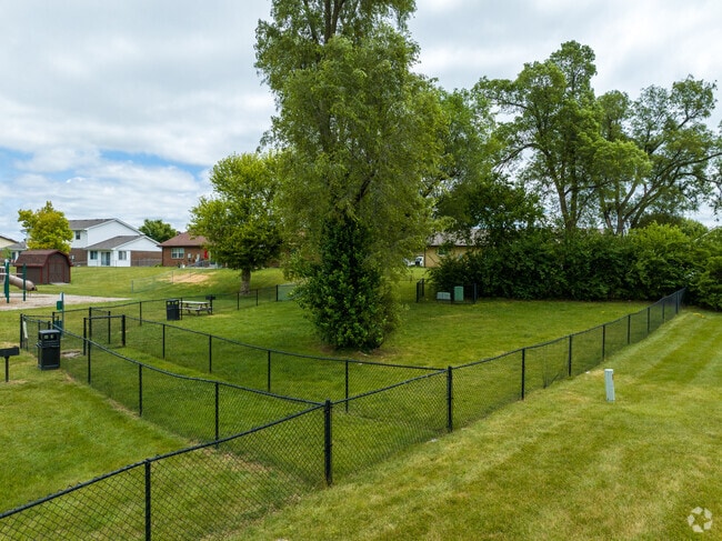 Dog Park
