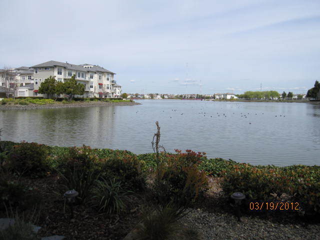 Building Photo - 206 Mendocino Way Unit 206