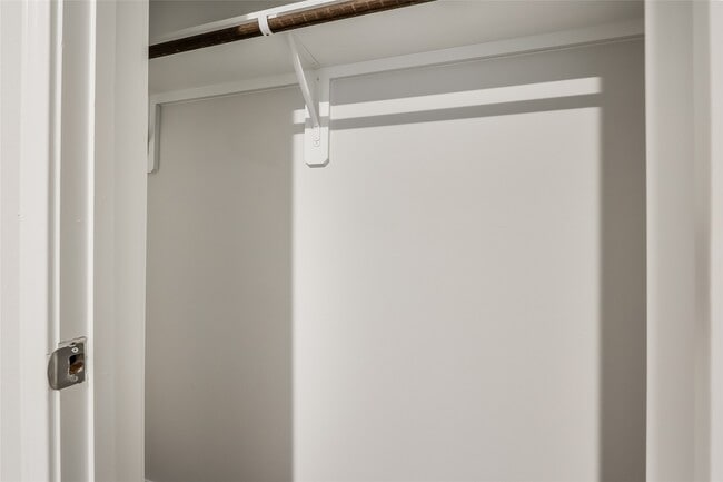 Photo - 22211 Red Knot Run