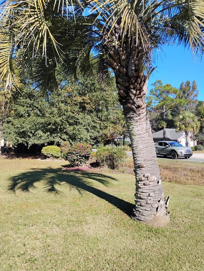 Photo - Gleneagles Drive