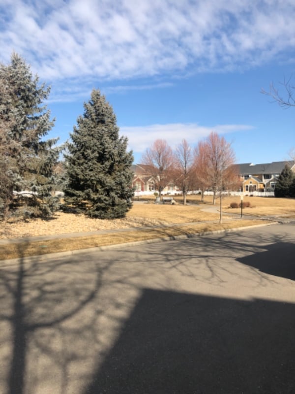 Photo - 4018 Independence Dr