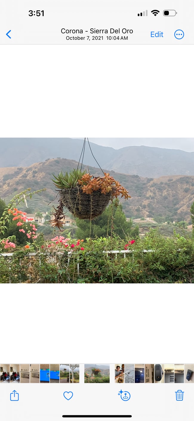 Photo - 3350 Deaver Dr