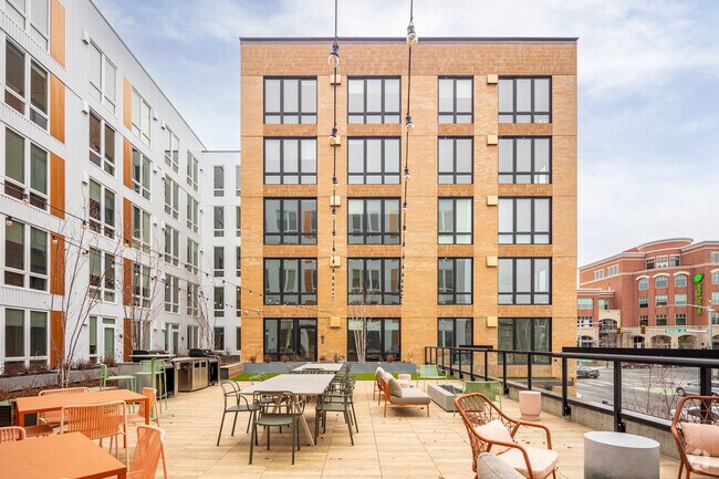 Rooftop deck - The Warren