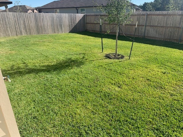 Photo - 203 Comal Dr