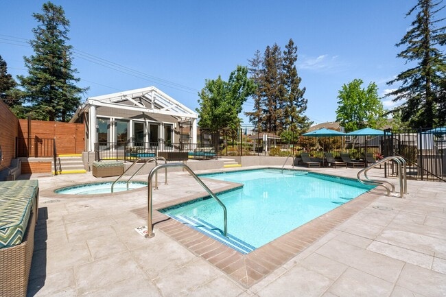 Sparkling Pool and Spa