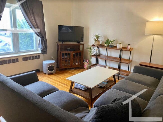 Cozy unit in central Brighton available as early as July 1st - Cozy unit in central Brighton available as early as July 1st