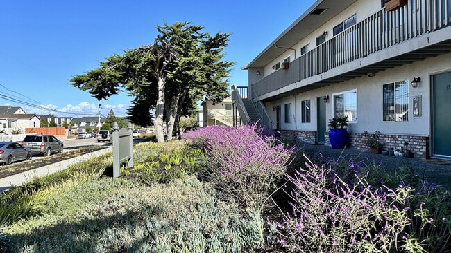 Photo - Marina Crescent