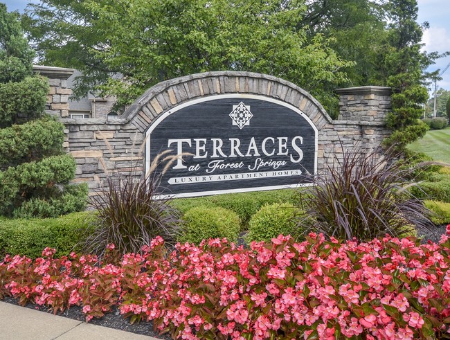 Terraces at Forest Springs - Terraces at Forest Springs Apartments