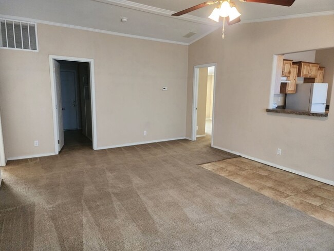 Photo - 313 E Lime St Unit B