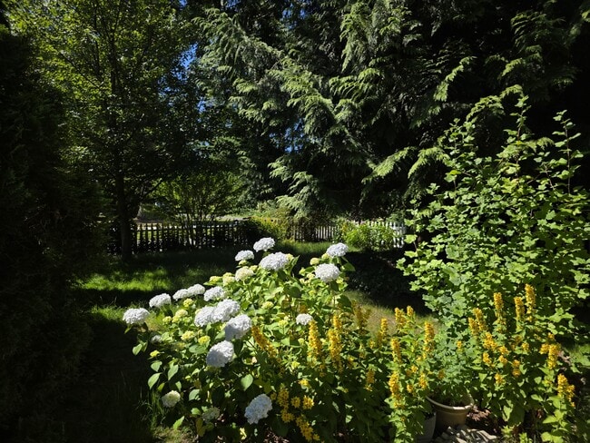 Photo - 266 Boundary Bay Rd