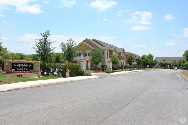 The Meadows At Bentley Drive