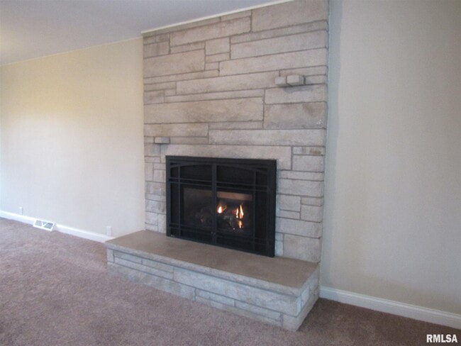 Photo - 233 Manor Dr
