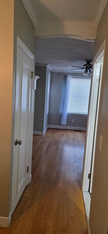 Photo - 17-19 Bowditch St Unidad 1