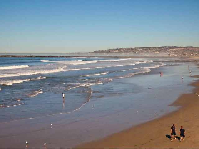Ocean Beach