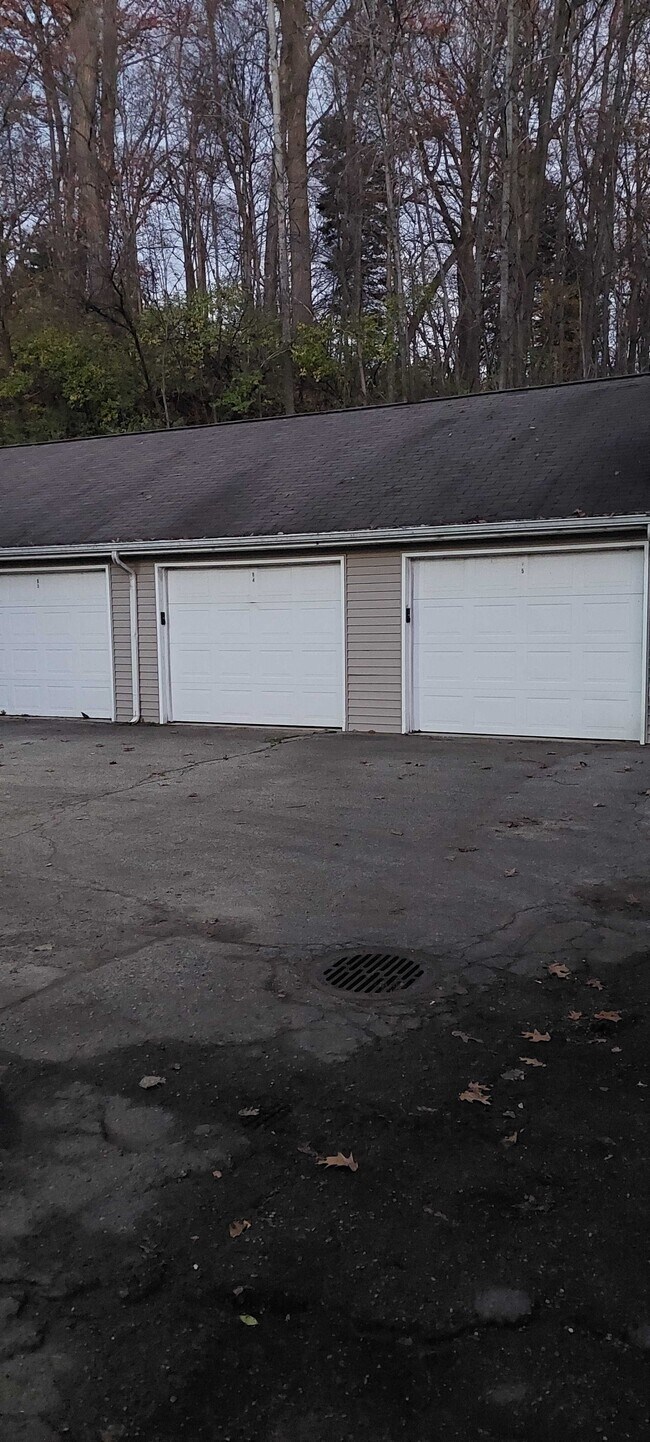 6558 Northland Dr NE Townhome For Rent in Rockford, MI