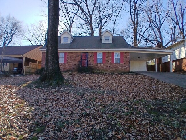 Building Photo - Spacious 4BR/2BA Home with Carport