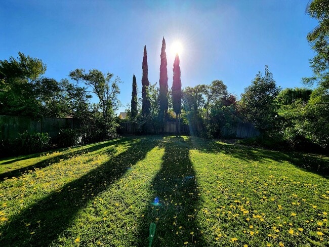 Photo - 4 bedroom house in Redwood Shores