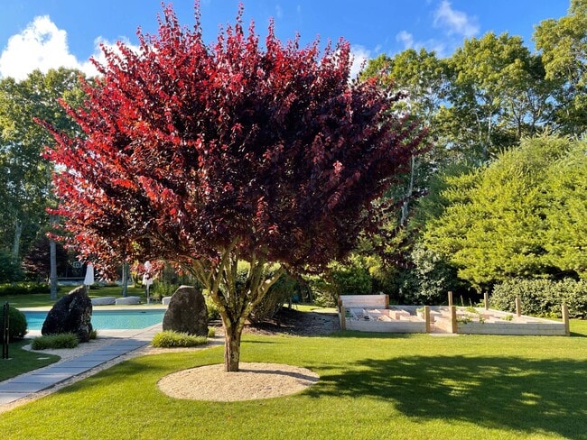 Photo - 138 Merchants Path