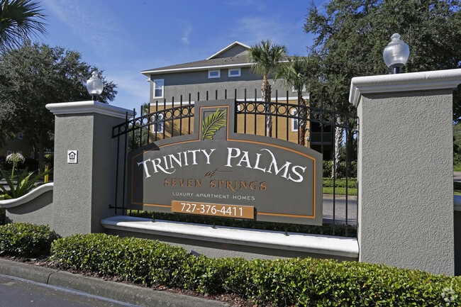 Building Photo - Trinity Palms at Seven Springs