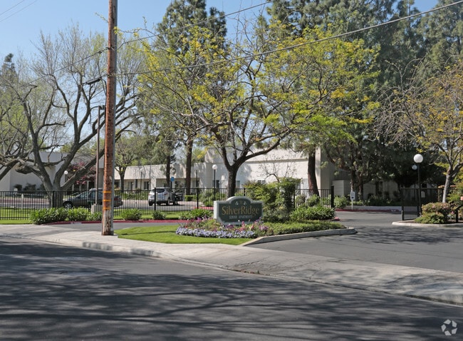 Silver Ridge