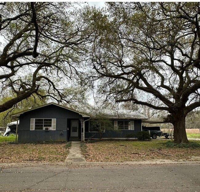 Building Photo - 531 Pecan St