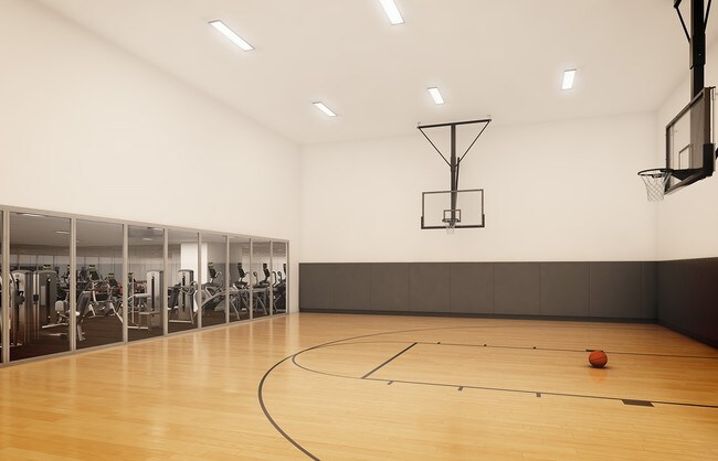 Basketball Court
