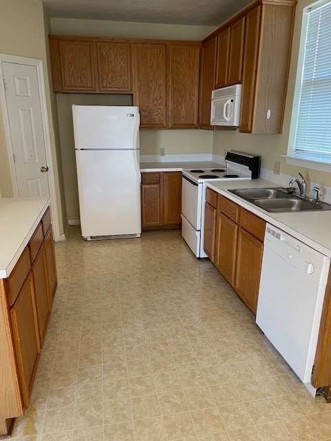 Fotografía del edificio - 343 Stone Hill Dr Unidad 343 Stone Hill 2