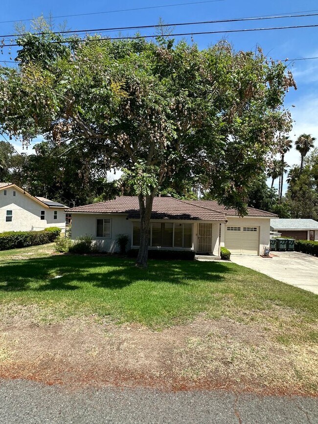 SERENE MOUNT HELIX GEM COZY 3BED, 2 BATH... Rental House Rental in