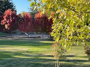 Photo - 97 Martin Dr Unidad 97 Martin Dr