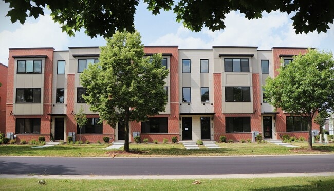 Photo - Lions Park Row