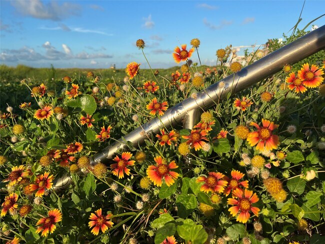 Photo - 2010 The Strand Unit 302