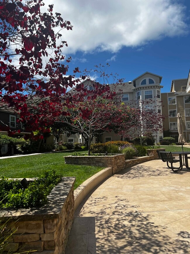 Photo - 555 10th St Unit 318