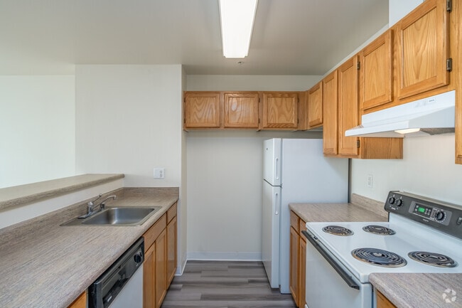 1BR, 1BA - 546SF - Kitchen