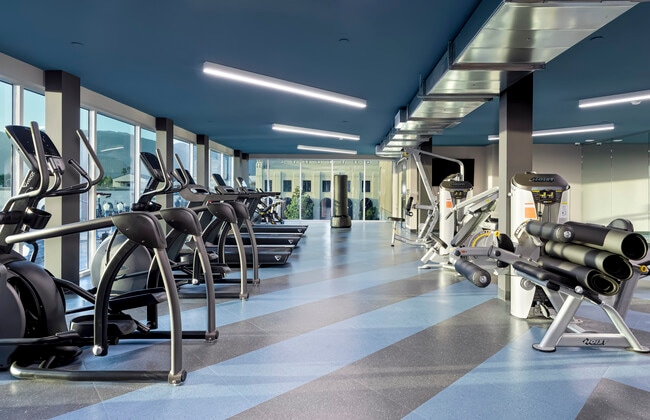 Gym with cardio and weights