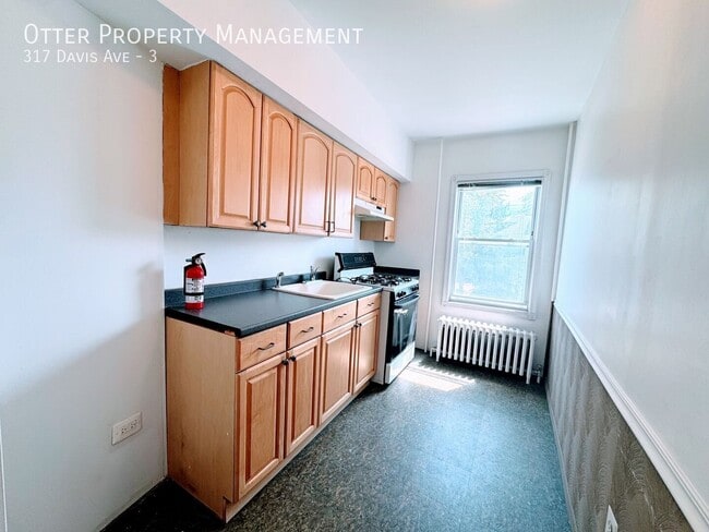 317 Davis Ave Unit 3