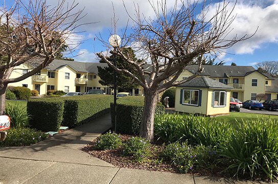 Building Photo - Pacific Pines Rental