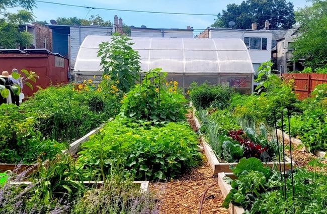 Photo - 4 bed 3 Bath Near Downtown CDA