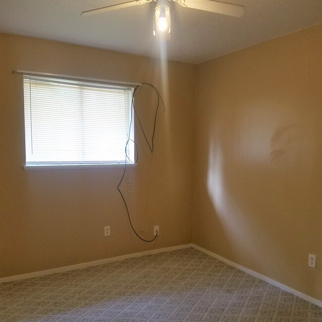 Photo - 107 Magnolia St