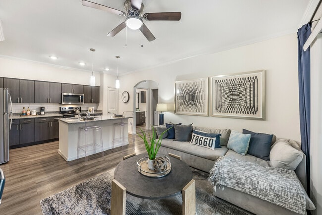 Living Room and Kitchen